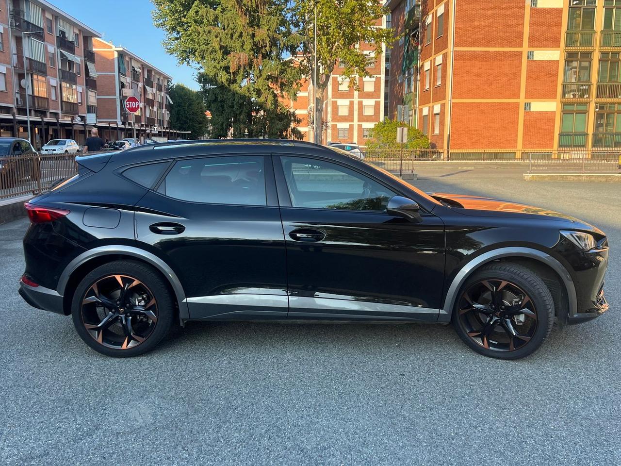 Cupra Formentor Tribe Edition #50391