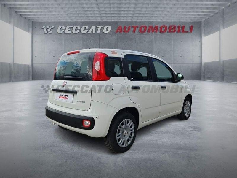 FIAT Panda Panda 1.0 70cv Hybrid Pop