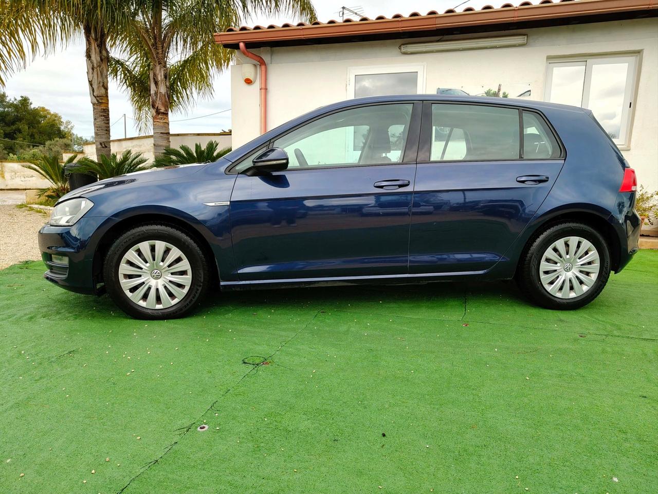 Volkswagen Golf 1.4 TGI 5p. Highline BlueMotion - 2015