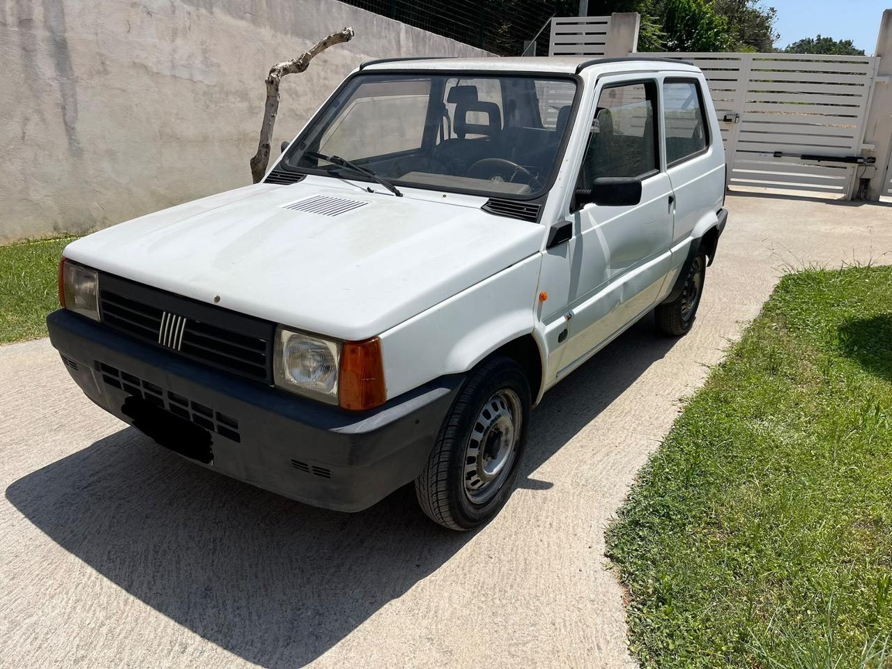 Fiat Panda 900 i.e. cat Young
