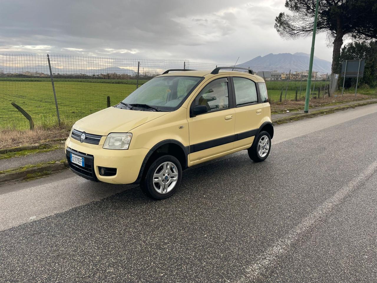 Fiat Panda 1.3 MJT 16V 4x4 anno 2006