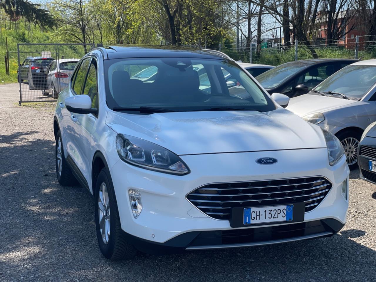 Ford Kuga 1.5 EcoBlue 120 CV 2WD Titanium Business