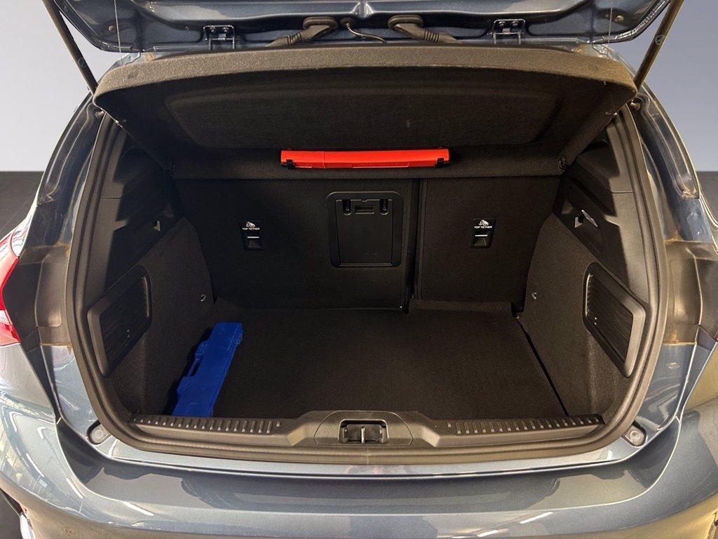 FORD Focus m-hybrid ST-Line X 5 porte del 2022