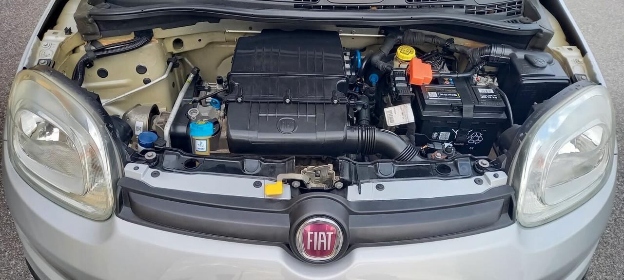 Fiat Panda cc. 1.242 Benzina 69 CV. 4 Cilindri 5 Porte 5 Posti Euro 6B Utilizzabile anche per i Neopatentati.