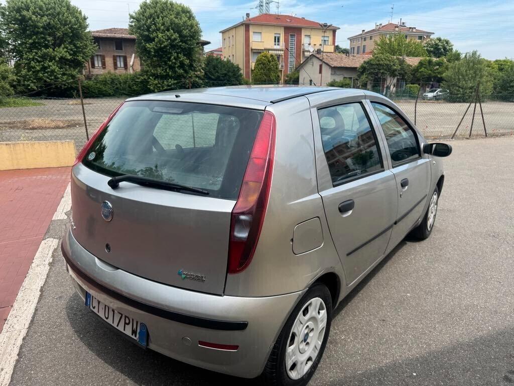Fiat Punto 1.2 5 porte Active Natural Power