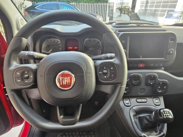 FIAT Panda 1.0 FireFly S&S Hybrid City Cross da ?149,00 mensi