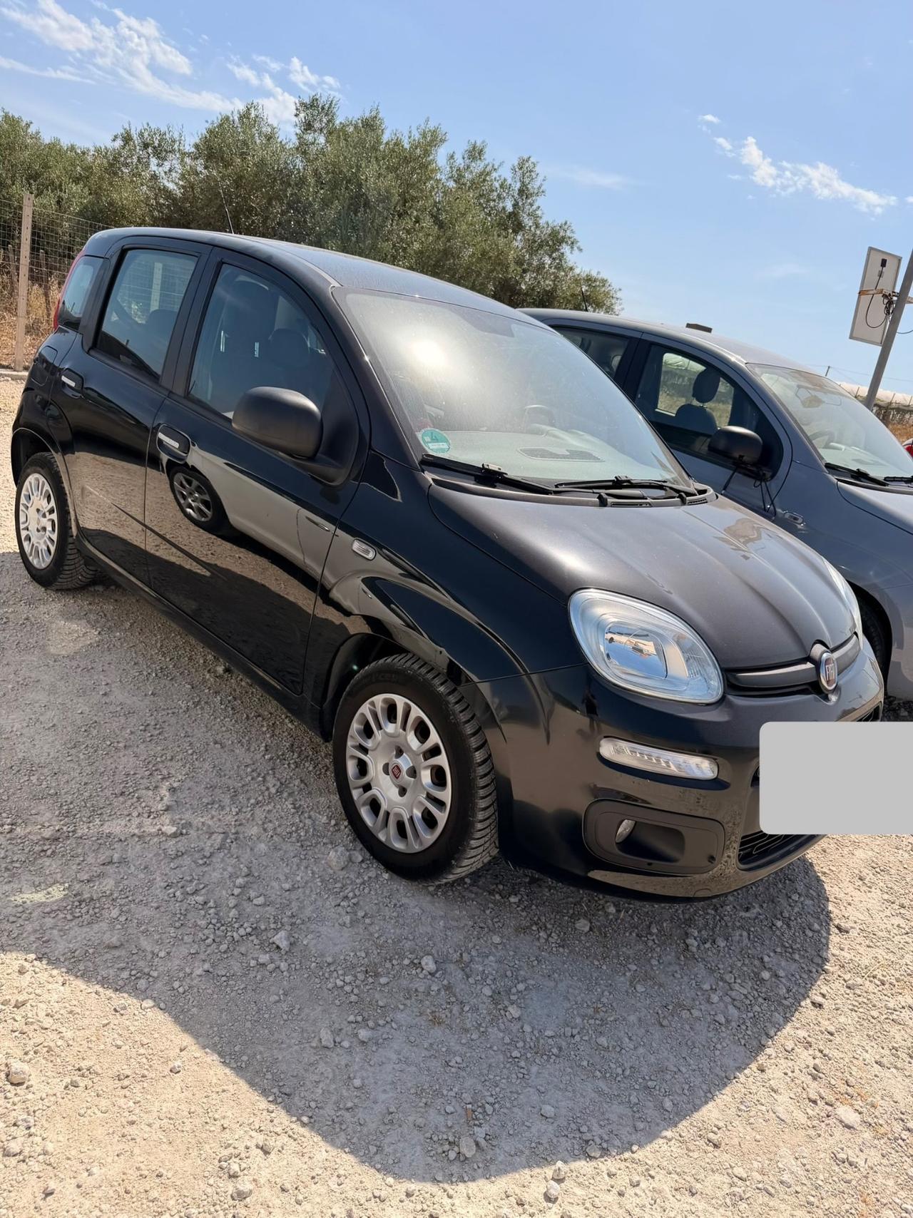 Fiat Panda 1.2 benzina anno 2015