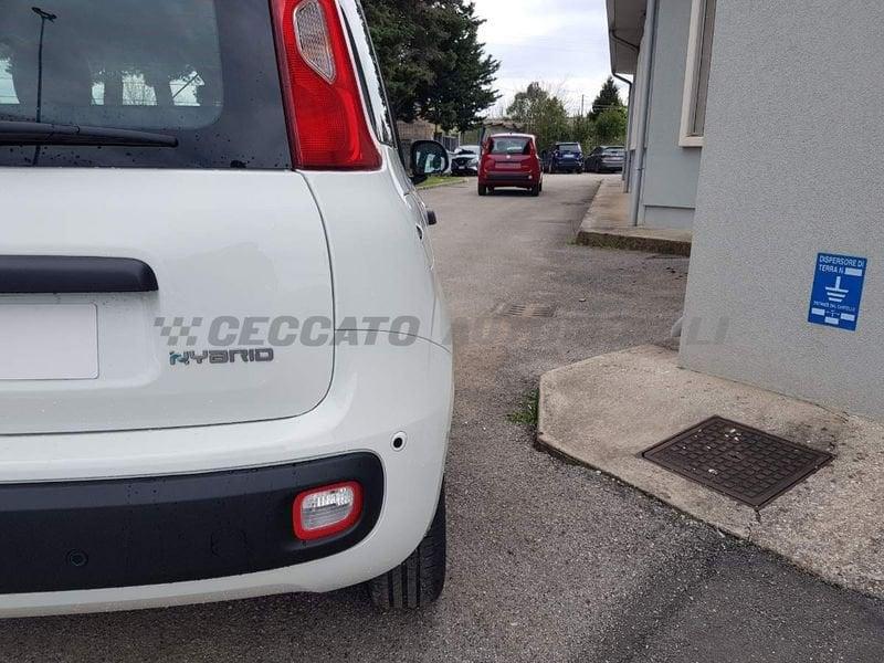 FIAT Panda Panda 1.0 firefly hybrid s&s 70cv