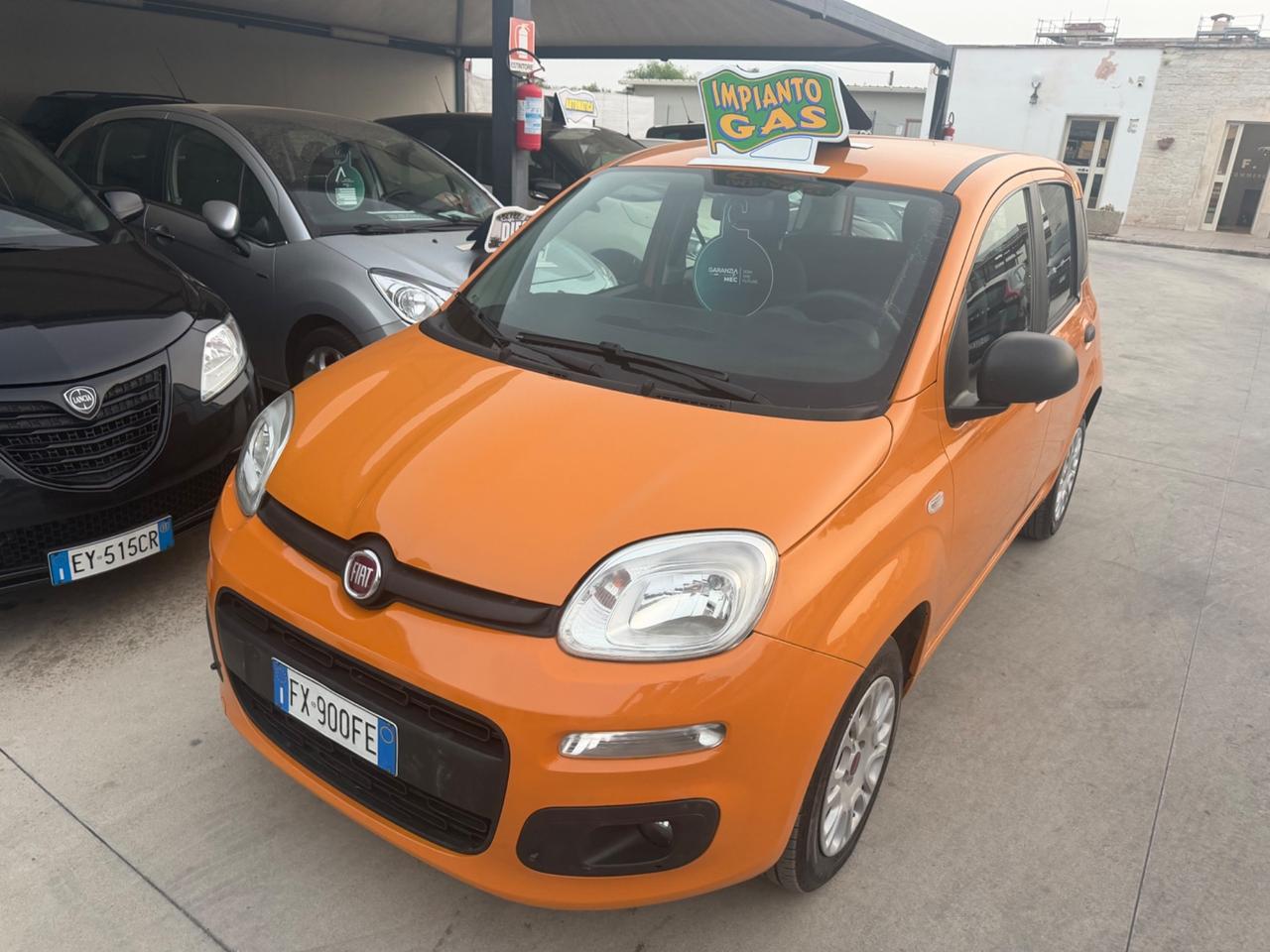 Fiat PANDA 1.2 GPL 2019 - NORD ITALIA