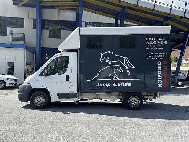 Fiat Ducato 30 2.3 MJT Trasporto Cavalli