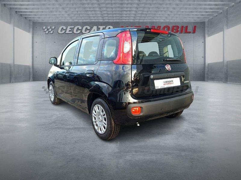 FIAT Panda Panda 1.0 firefly hybrid s&s 70cv
