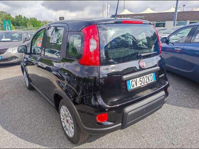 FIAT Panda 1.0 firefly hybrid s&s 70cv