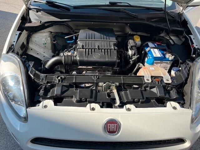 Fiat Punto 1.2 8V 5 porte Street N1