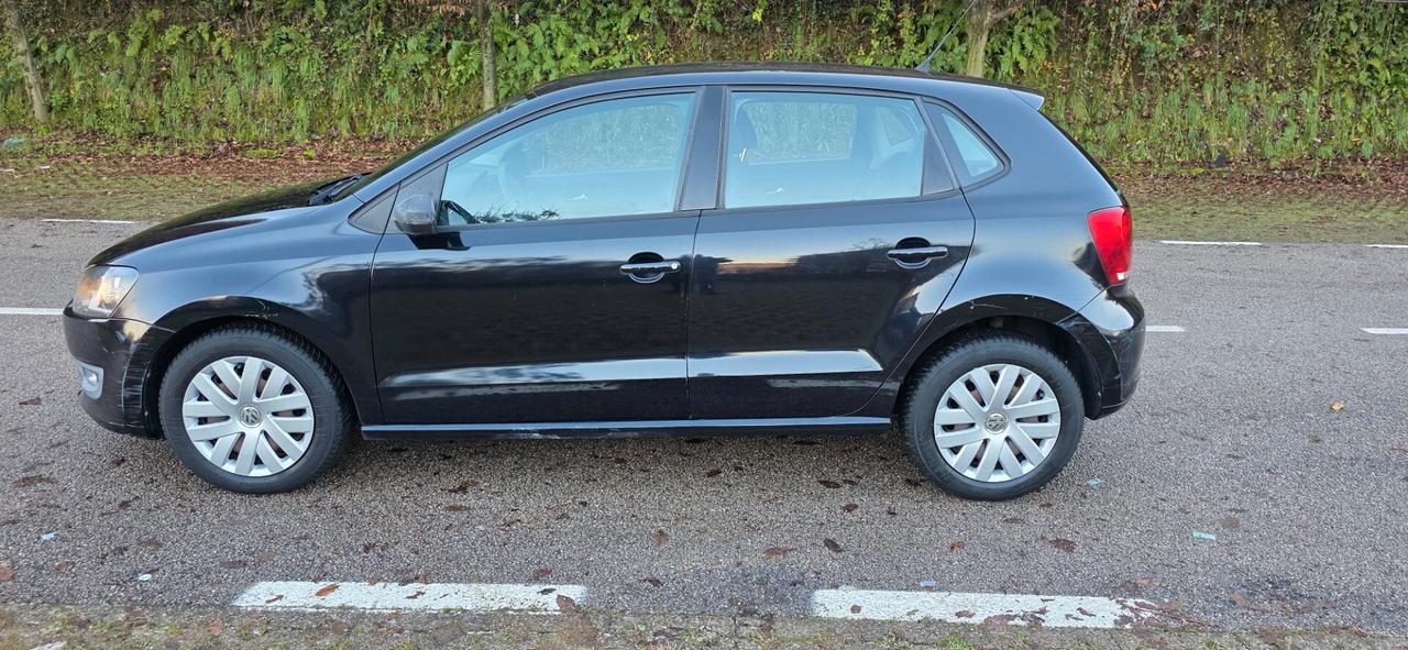 Volkswagen Polo 1.6 TDI 90CV DPF 5 porte Comfortline