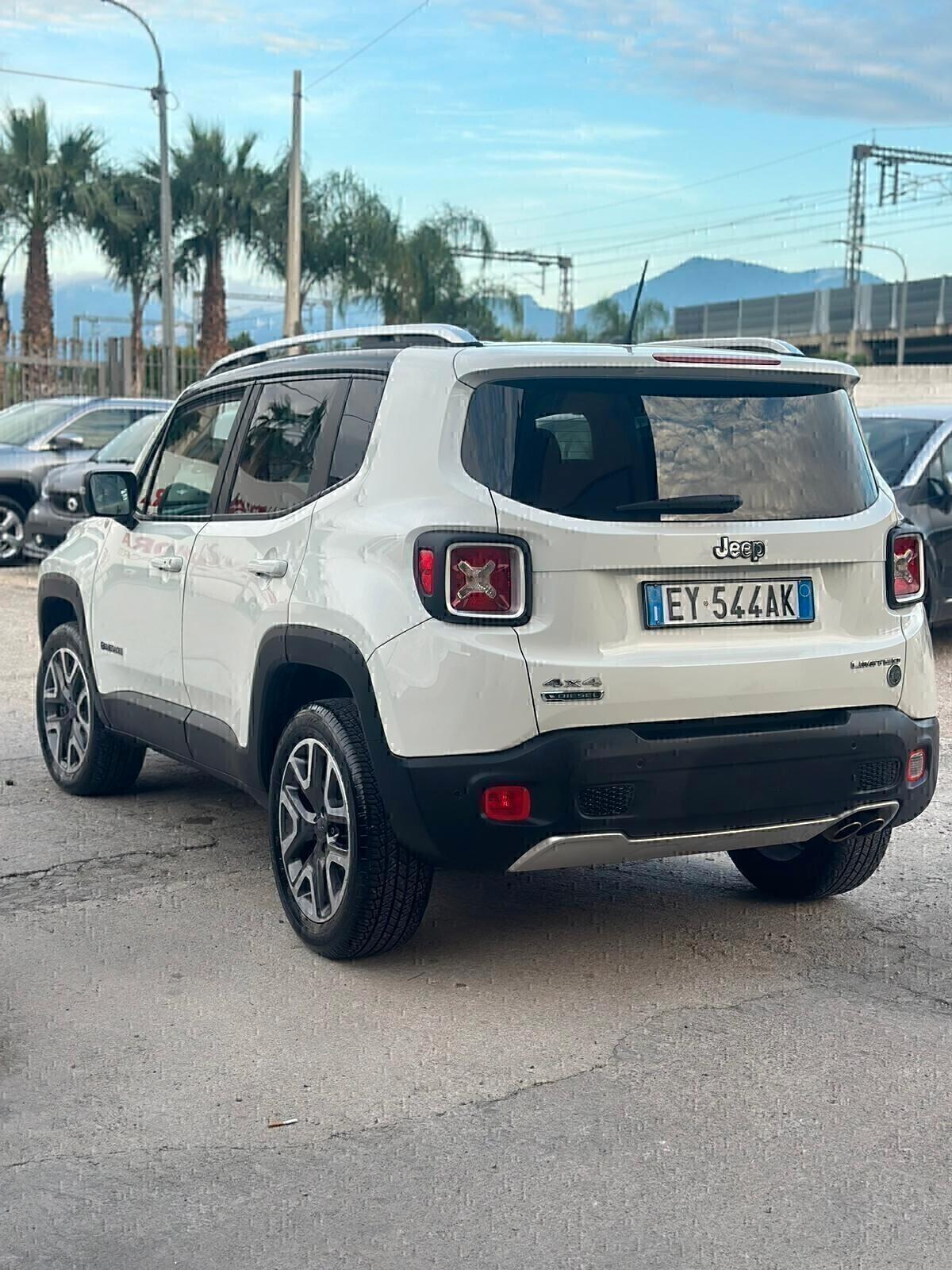 Jeep Renegade 2.0 Mjt 4WD Active Drive Low Trailhawk