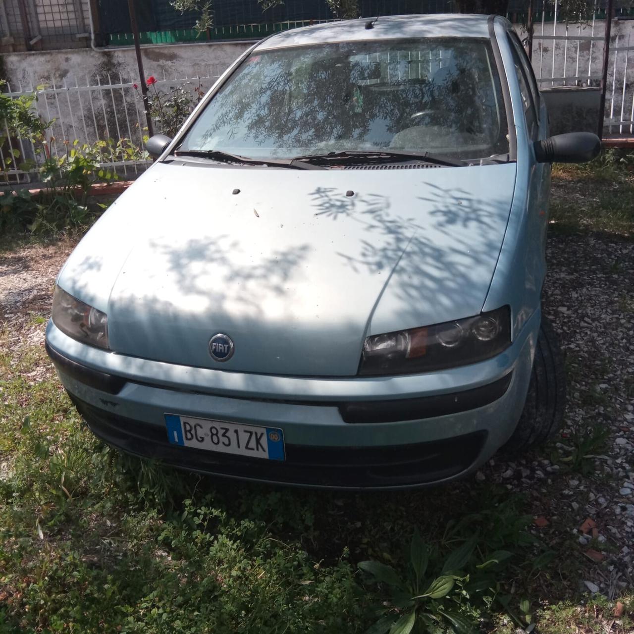 Fiat Panda 1100 i.e. cat Young