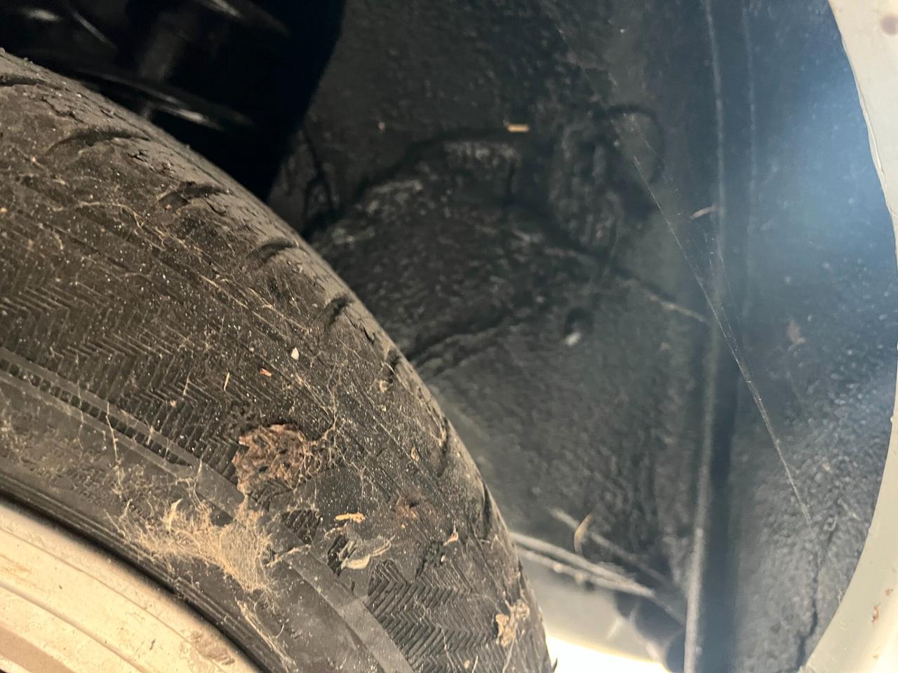 Fiat 124 Spider AMERICA 2.0