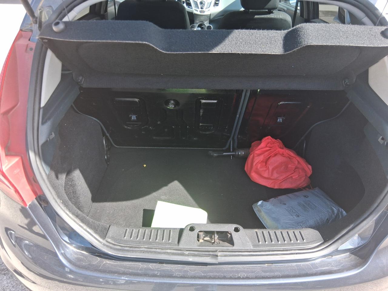 Ford Fiesta 1.4 TDCi 68CV 5 porte Titanium