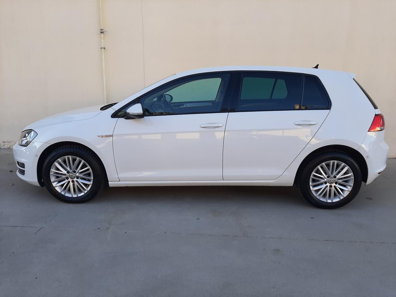 Volkswagen Golf 1.6 TDI 110 CV 5p. CUP BlueMotion Technology