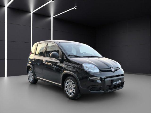 FIAT Panda 1.0 FireFly S&S Hybrid Pandina