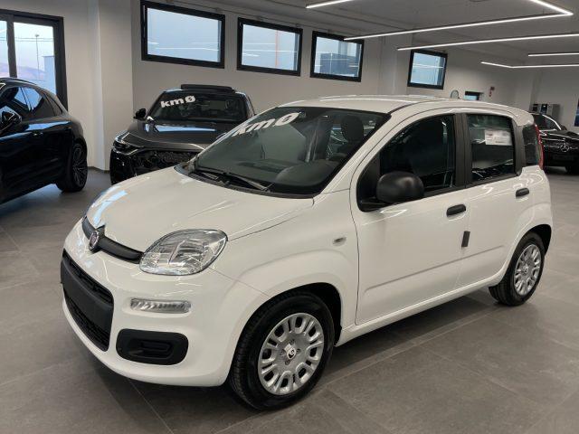 FIAT Pandina 1.0 Hybrid Icon KM0 MY26