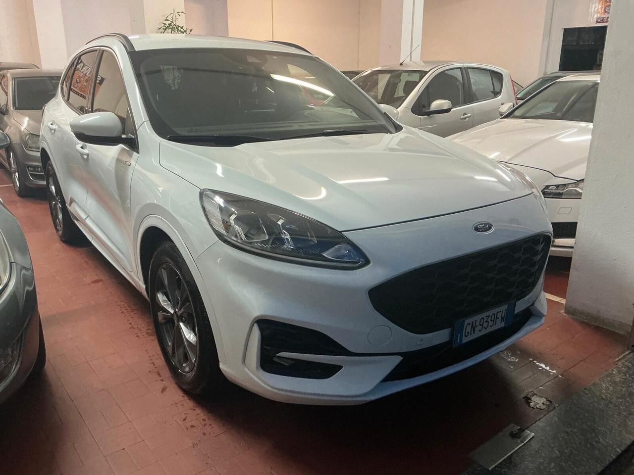 Ford Kuga 1.5 EcoBlue 120 CV aut. 2WD ST-Line X 2023