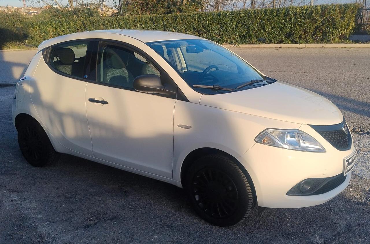 Lancia Ypsilon 1.2 Elefantino Blu 69Cv - 2019