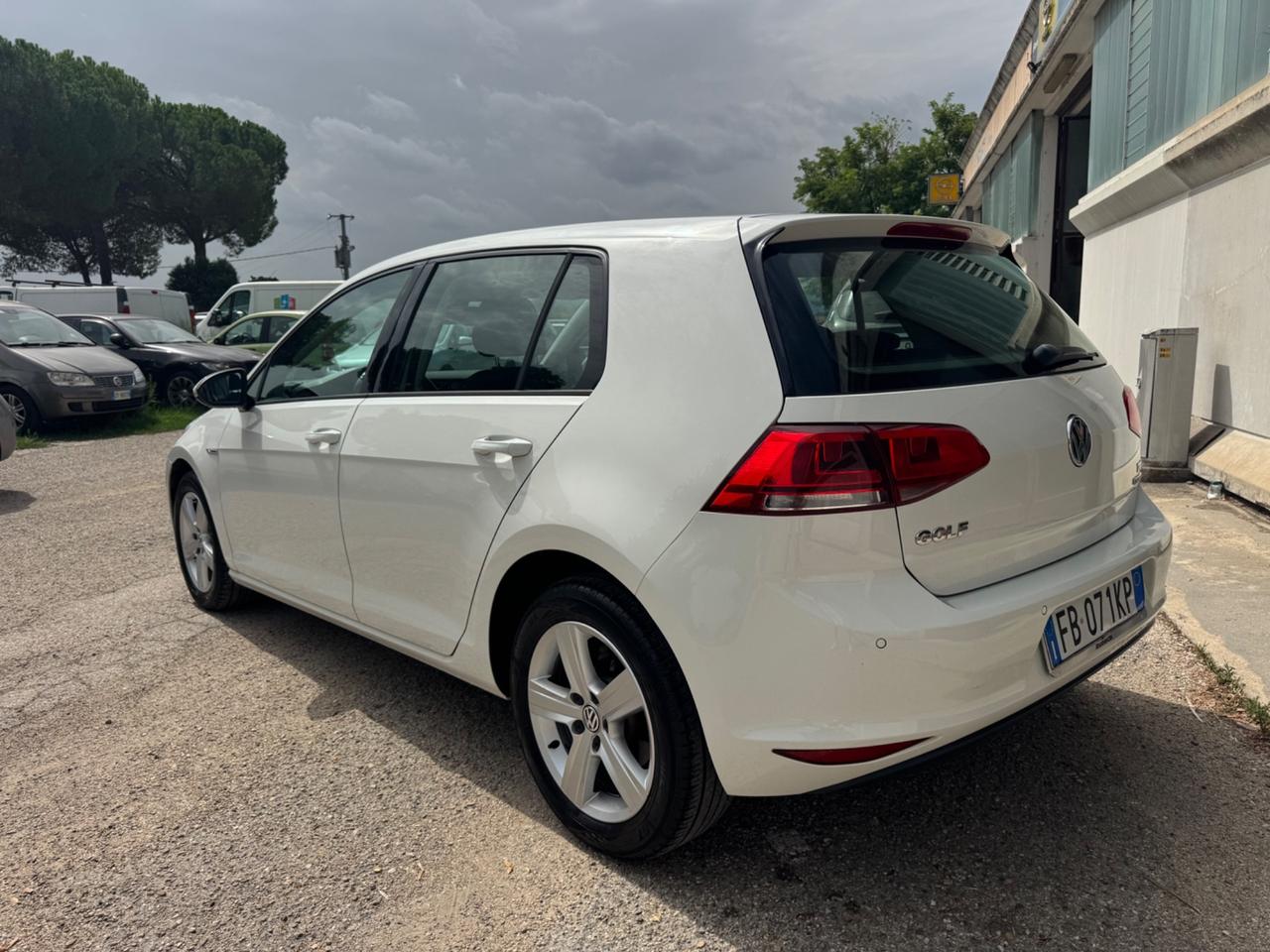 Volkswagen Golf 1.4 TGI 5p. Executive BlueMotion