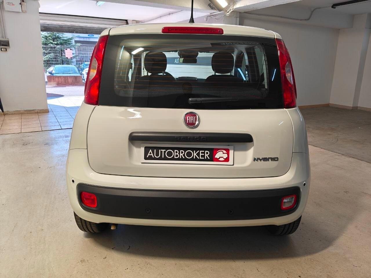 FIAT Panda 3ª serie Panda 1.0 FireFly S&S Hybr...