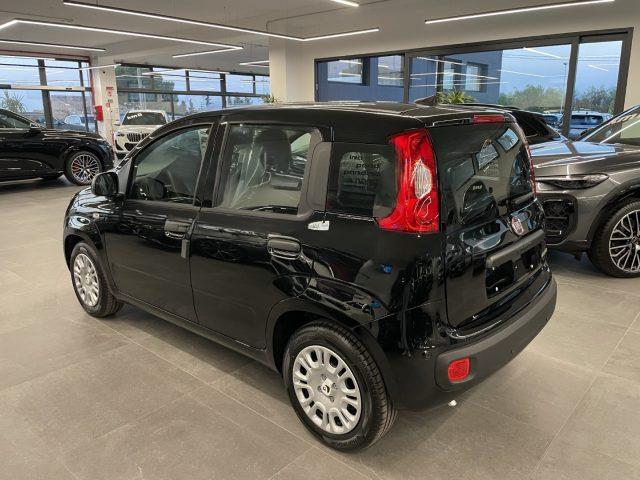 FIAT Pandina 1.0 Hybrid Icon KM0 MY26
