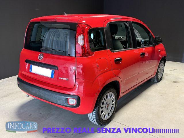 FIAT Panda Hybrid 1.0 FireFly 70 cv Neopatentati - PROMO