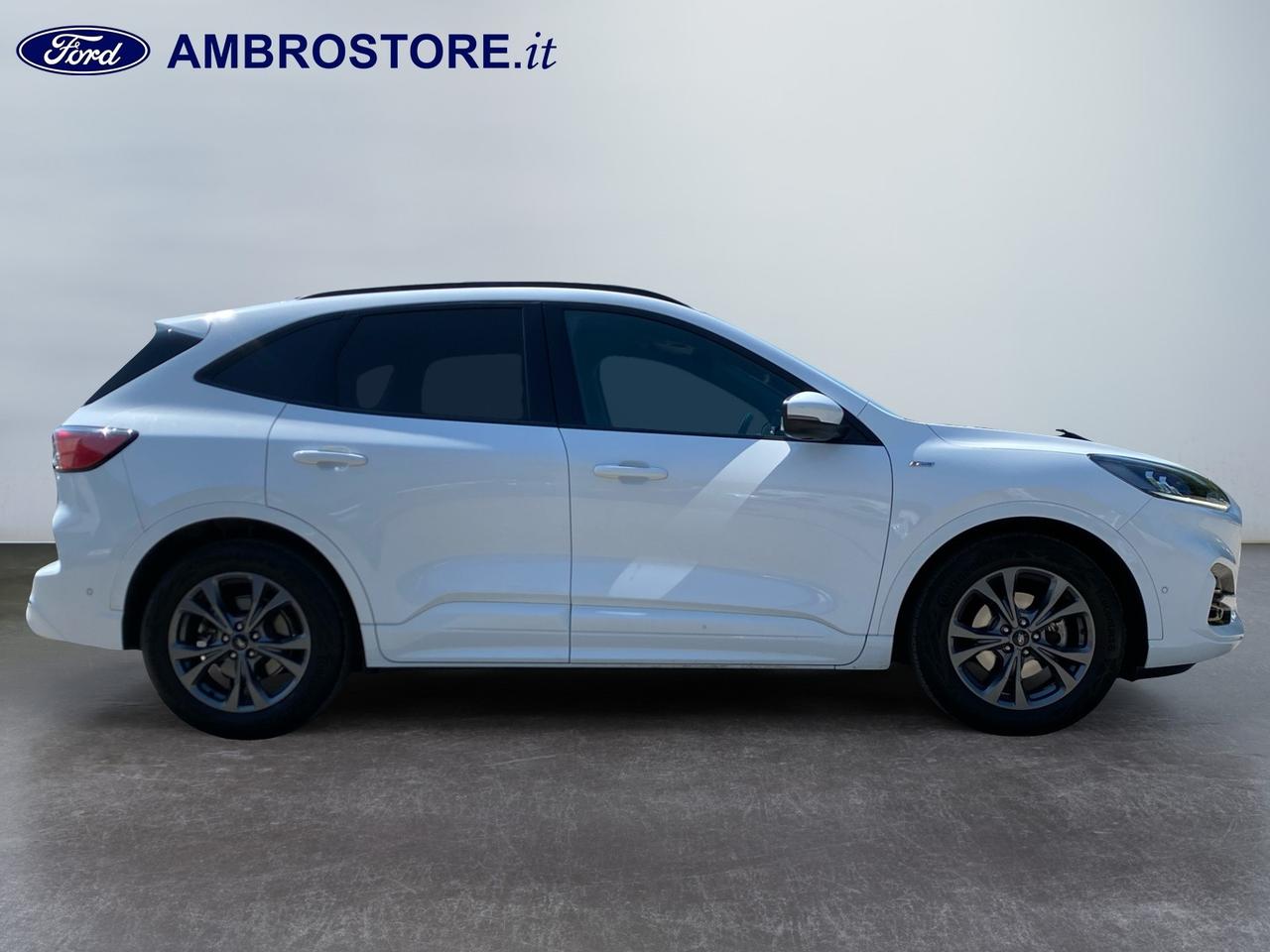 FORD Kuga III 2020 - Kuga 1.5 ecoblue ST-Line 2wd 120cv