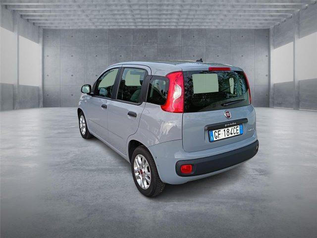 FIAT Panda 3ª serie 1.0 FireFly S&S Hybrid