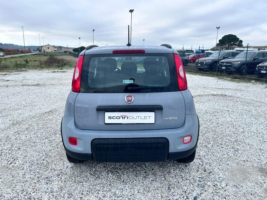 FIAT Panda III 2021 - Panda 1.0 firefly hybrid City Life s&s 70cv 5p.ti