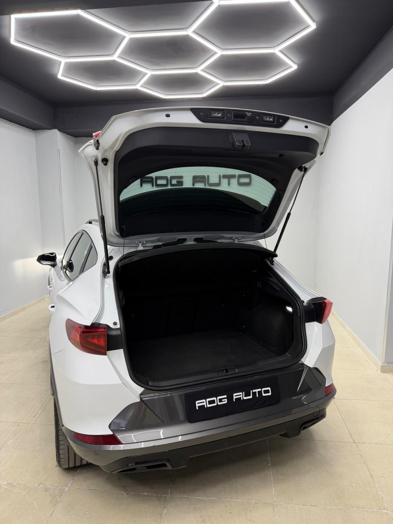 Cupra Formentor 2.0 TDI 4Drive DSG