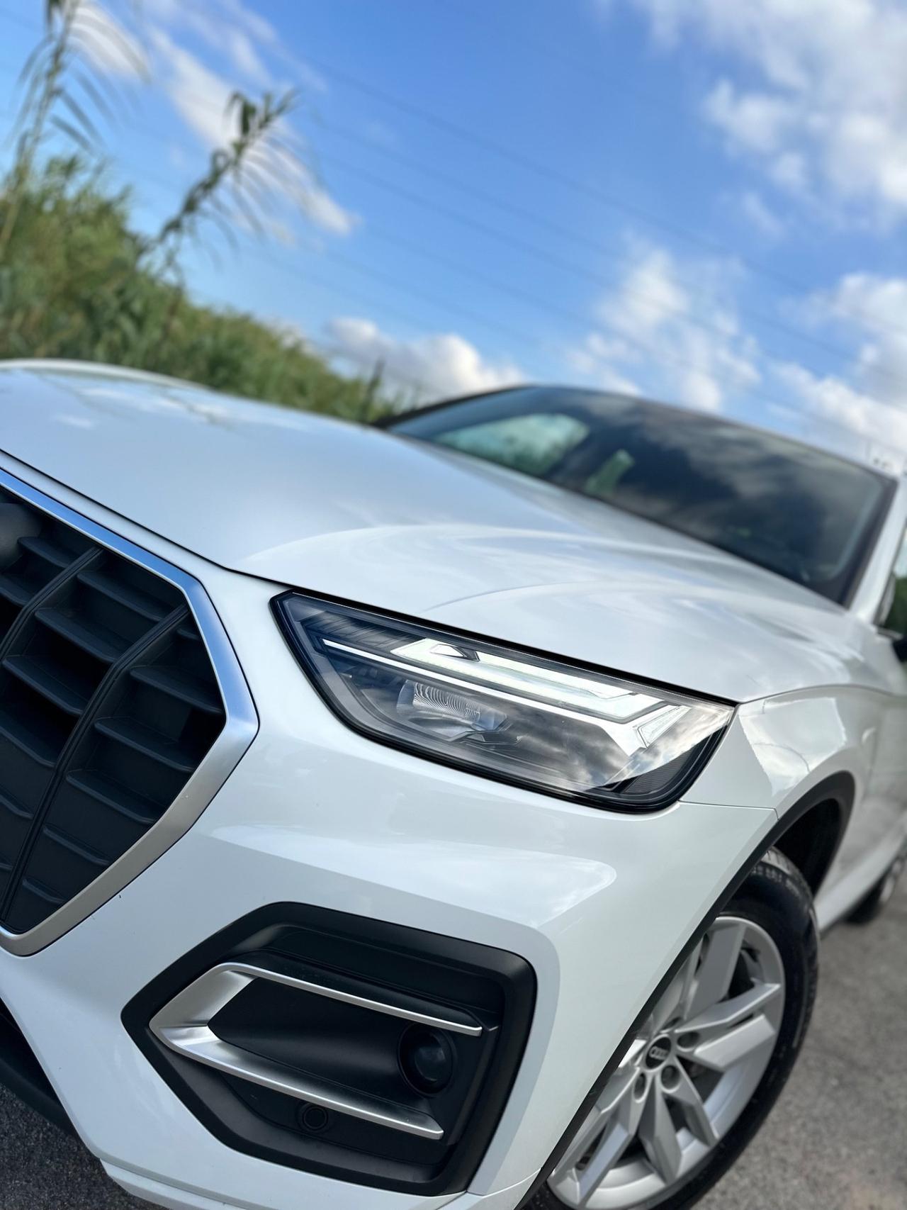 Audi Q5 40 TDI 204 CV quattro S tronic Business