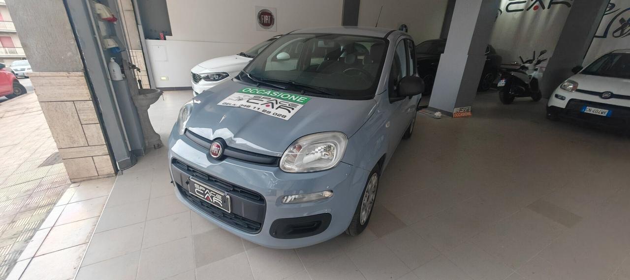 Fiat Panda Fiat Panda 1.0 benzina