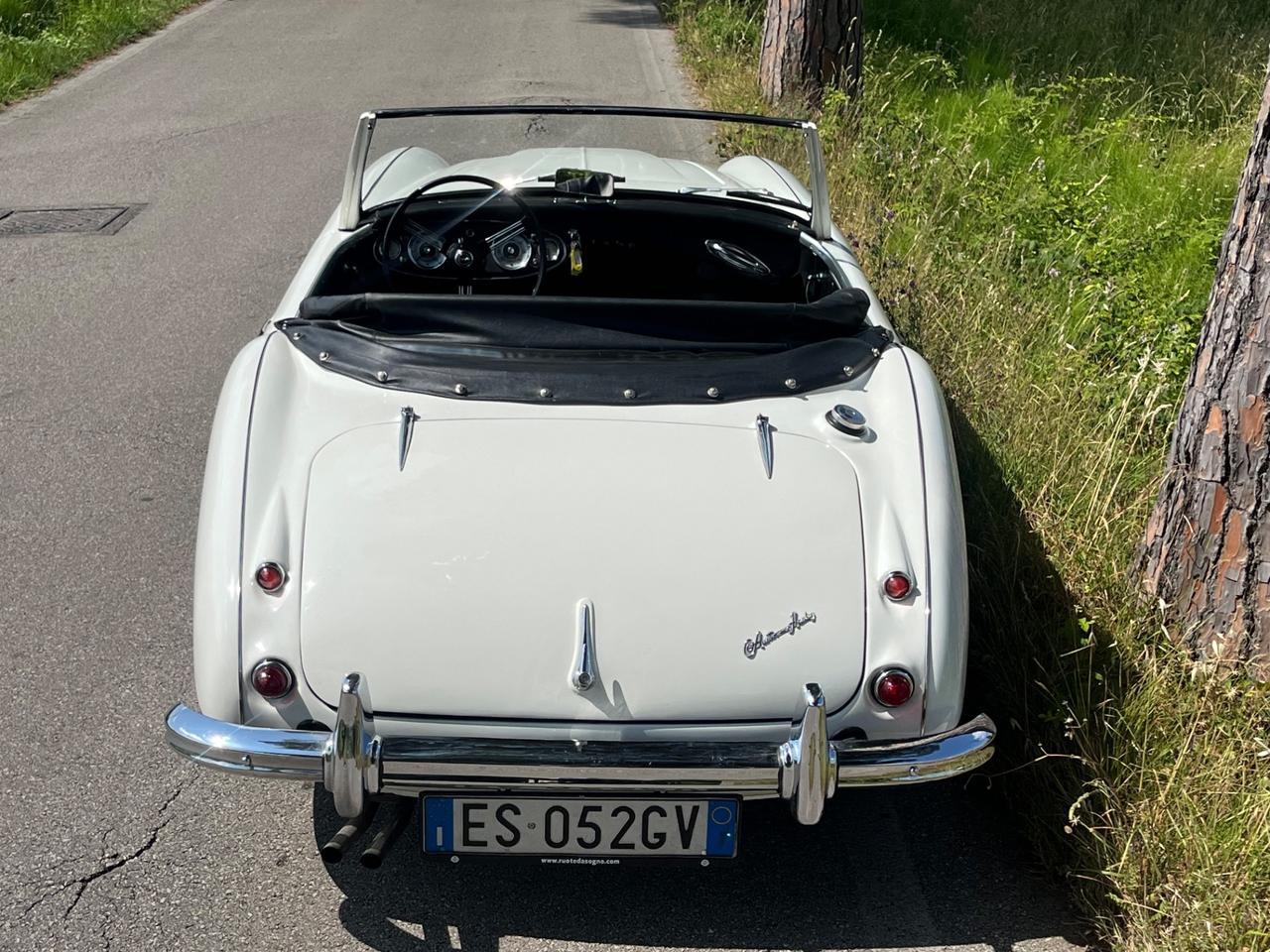 Austin Healey 100/6 BN4 2700 ASI