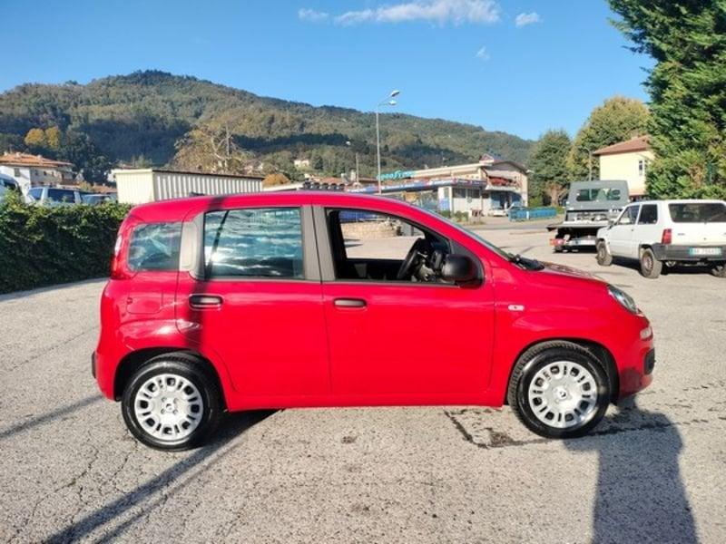 FIAT Panda Panda 1.0 FireFly S&S Hybrid Icon, 5 posti e stereo Bluetooth con comandi al volante! GPL!!