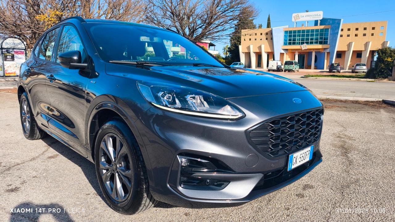 Ford Kuga 1.5 EcoBlue 120 CV aut. 2WD ST-Line 2022