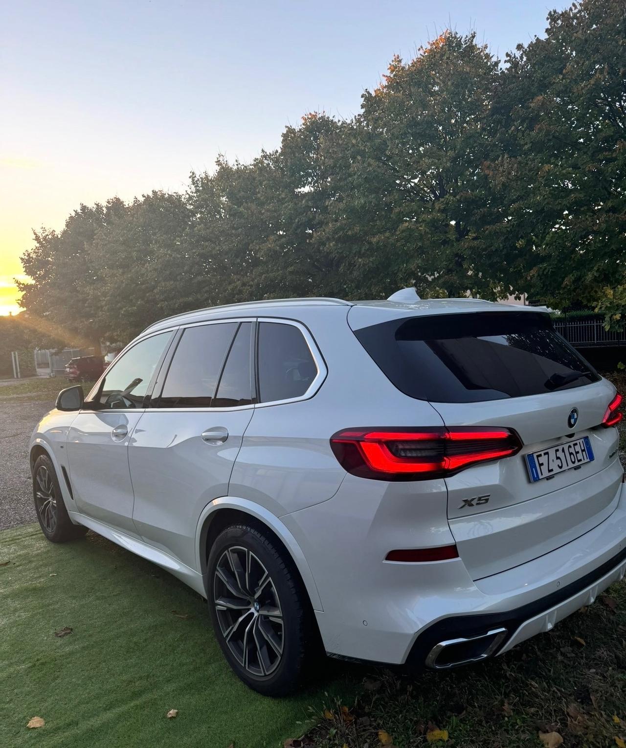 Bmw X5 xDrive30d xLine
