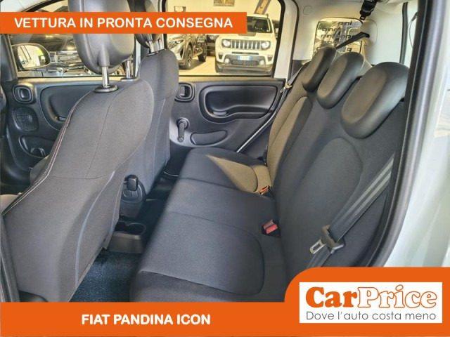FIAT Pandina 1.0 FireFly 65CV Hybrid Icon (5 Posti)