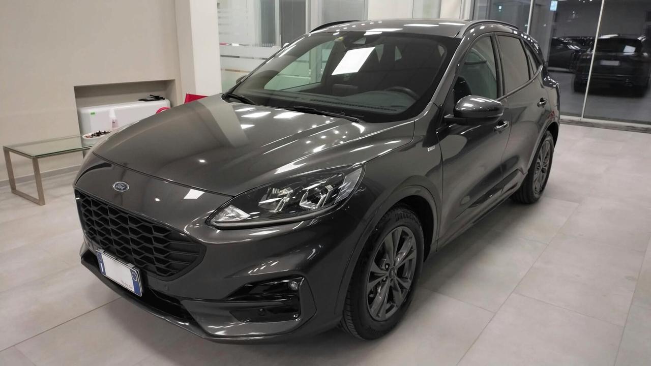 Ford Kuga 1.5 EcoBlue 120 CV 2WD ST-Line