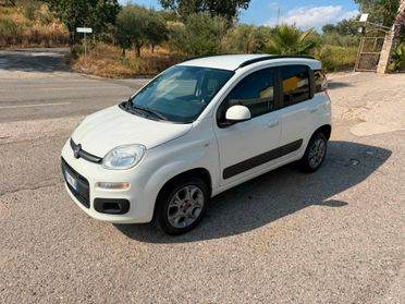 Fiat Panda 1.3 MJT 80 CV S&S 4x4 Van 2 posti anno 2016
