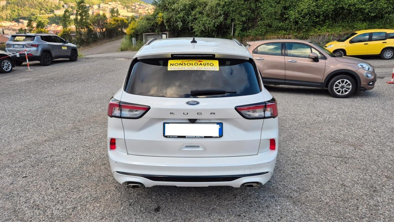 Ford Kuga 1.5 EcoBlue 120CV 2WD ST-Line X - 2021