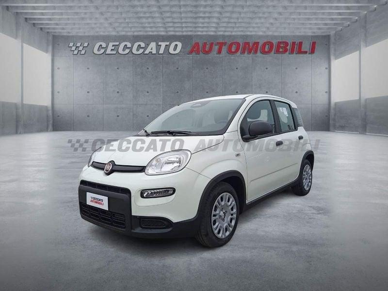 FIAT Panda 1.0 70cv Hybrid Panda