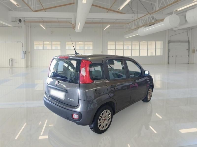 FIAT PANDA 1.0 FireFly 70cv S/S Hybrid 5 PORTE