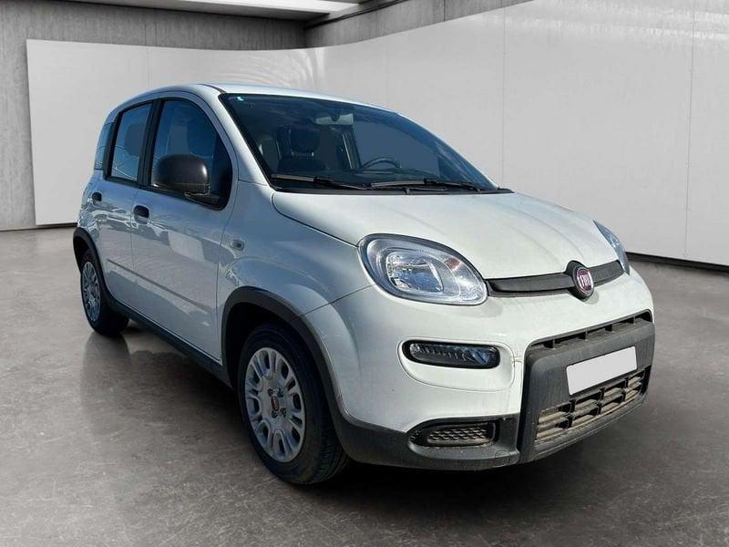 FIAT Panda 1.0 firefly hybrid s&s 70cv