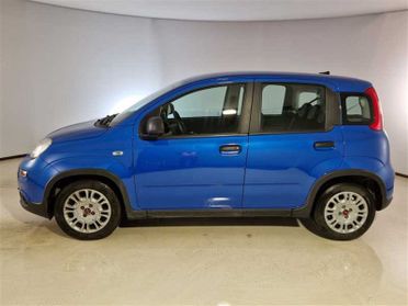 FIAT PANDA 1.0 FireFly 70cv S/S Hybrid 5 PORTE