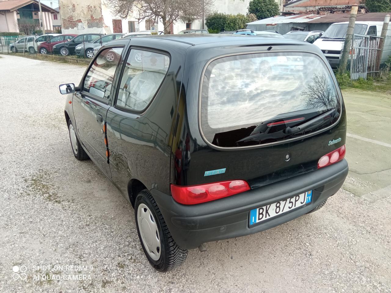 Fiat Seicento 900i cat Young